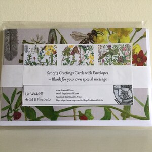 Wildflower Paintings Greetings Cards, 3er-Set, gedruckt von originalen Acrylgemälden von Liz Waddell