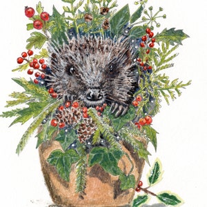 Pack of 6 Christmas Cards featuring a cute hedgehog hiding in a plant pot