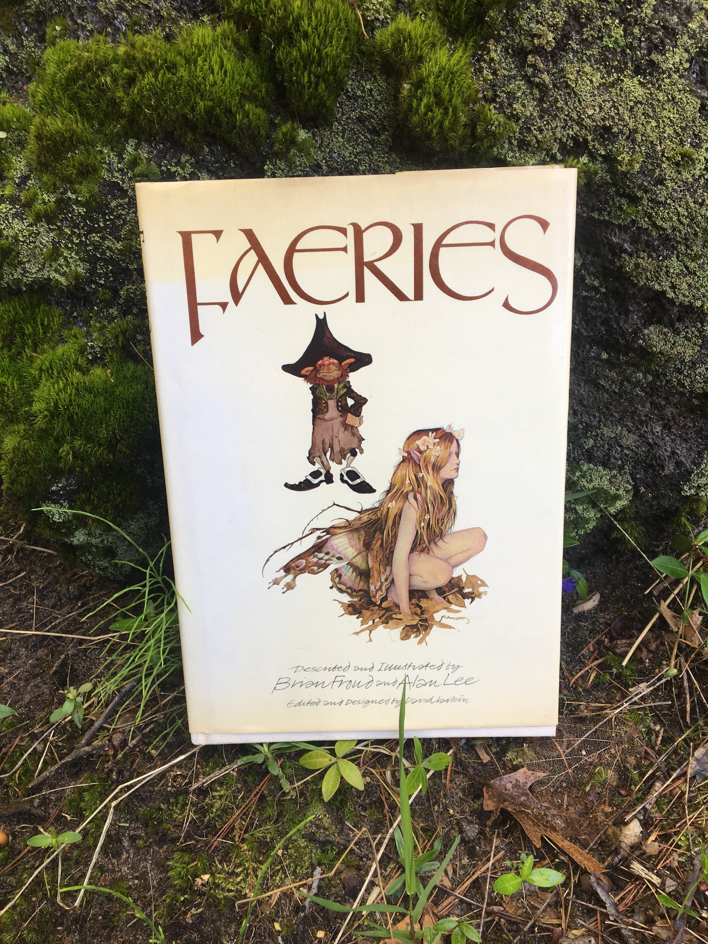 Faeries by Brian Froud and Alan Lee 1978, 1st Edition - Etsy Singapore