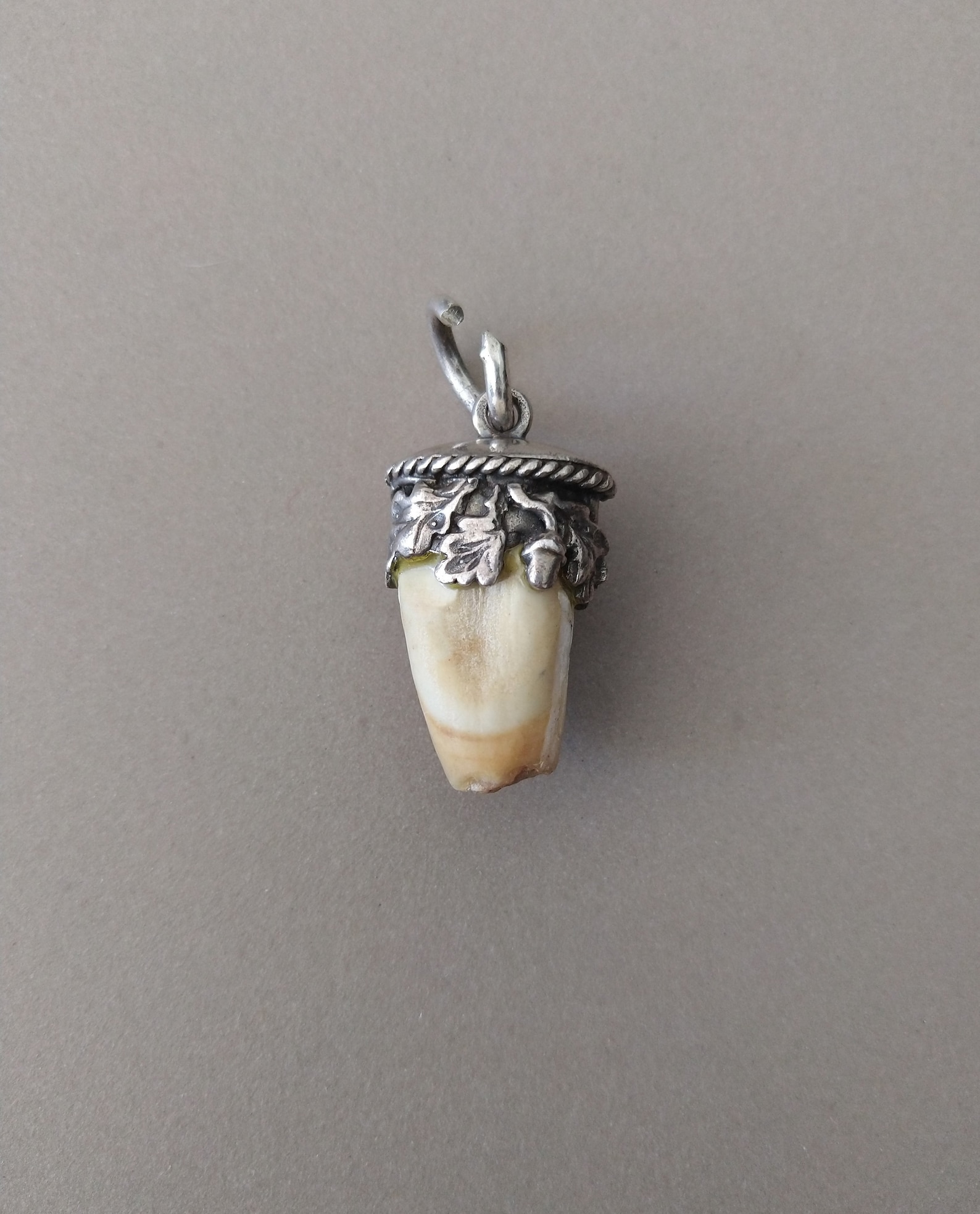 Antique Genuine Tooth Hunting Trophy Solid Silver Fob Charm