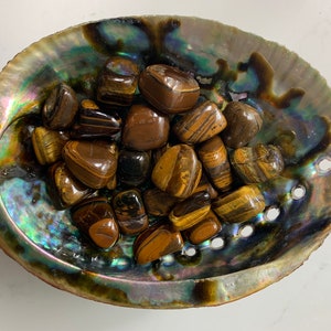 May include: A collection of tiger's eye tumbled stones in a natural abalone shell. The stones are a mix of brown, gold, and black.