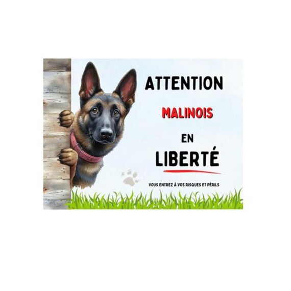 Plaque Métal 'Je Surveille Et Je Protège' Malinois - 15x20cm Aluminium - Panneau Attention Chien