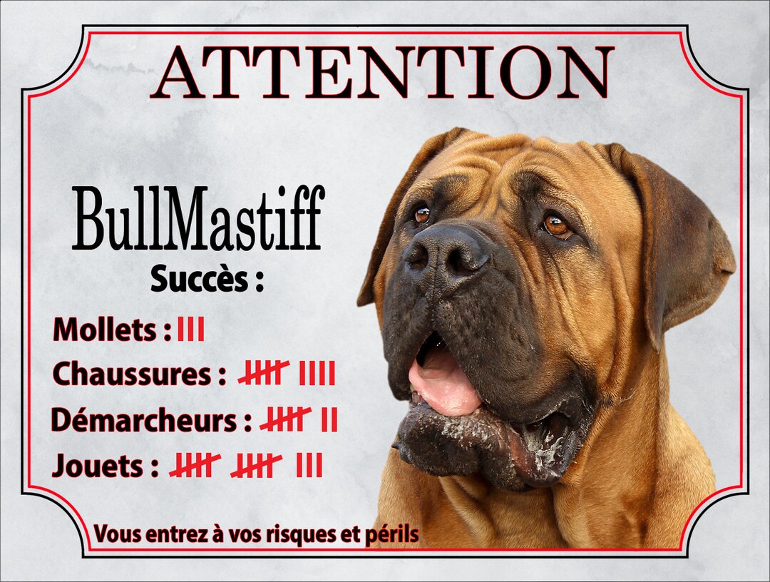 Humor Plaque Beware of the Dog in Aluminum Metal Bullmastiff Panel