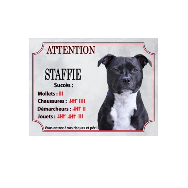 Pancarte Humour 'Attention American Staff' - Aluminium 15x20 Cm, Personnalisable Avec Prénom Du Chien