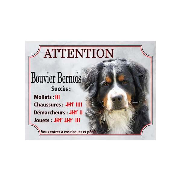 Plaque humour Attention au Chien bouvier bernois en  Aluminium - panneau bouvier bernois compte ses trophées,pancarte bouvier bernois humour