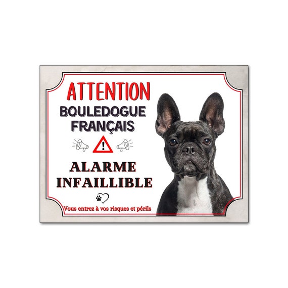 French bulldog guard best sale dog