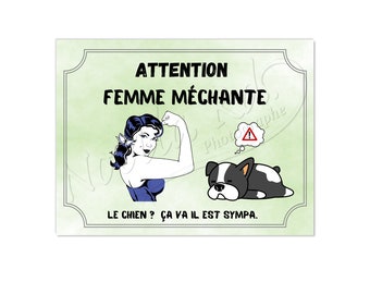 Pancarte humour femme méchante chien gentil plaque en aluminium taille 15x20cm modèle 2