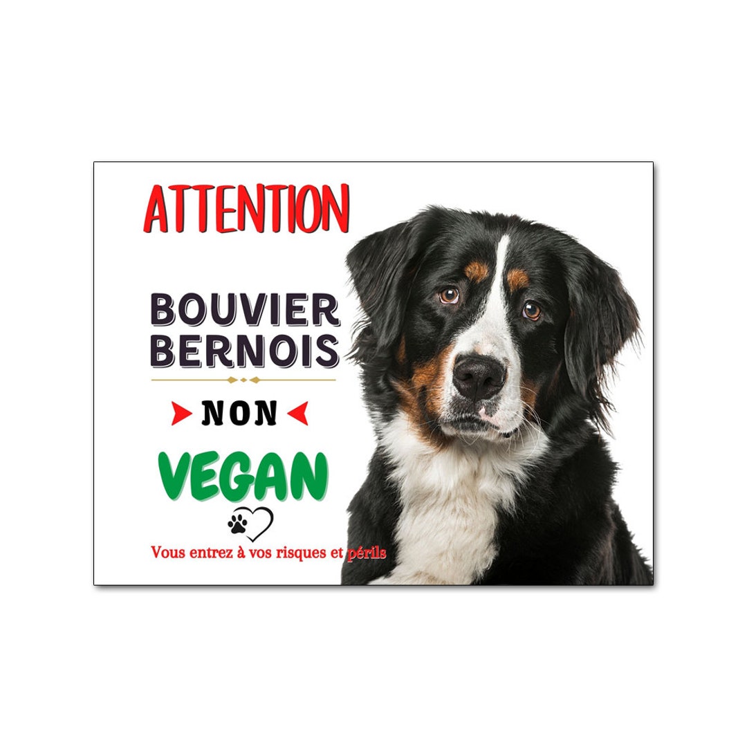 Plaque attention au chien - accessoire Bouvier Bernois