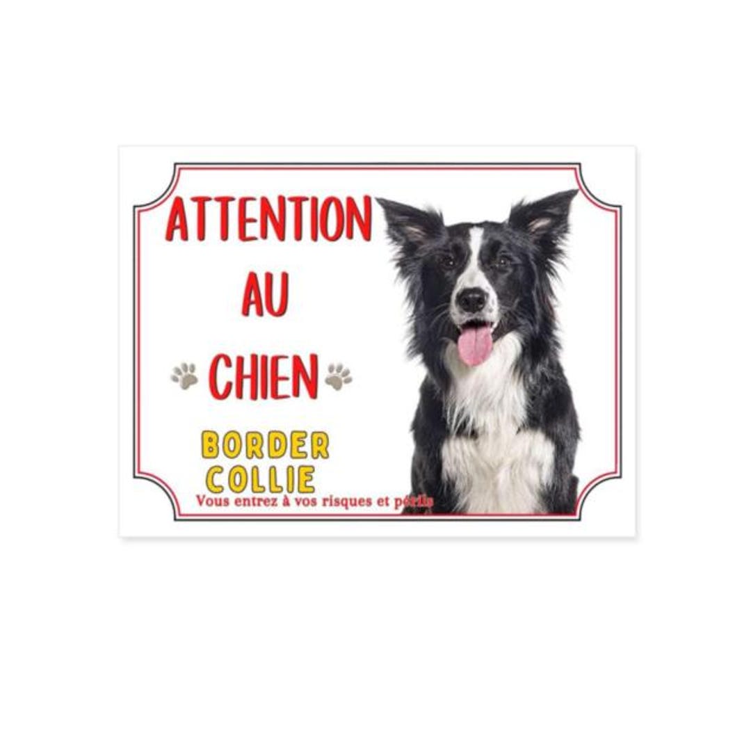 Plaque Attention Chien Border Collie Lunatique Monte La Garde