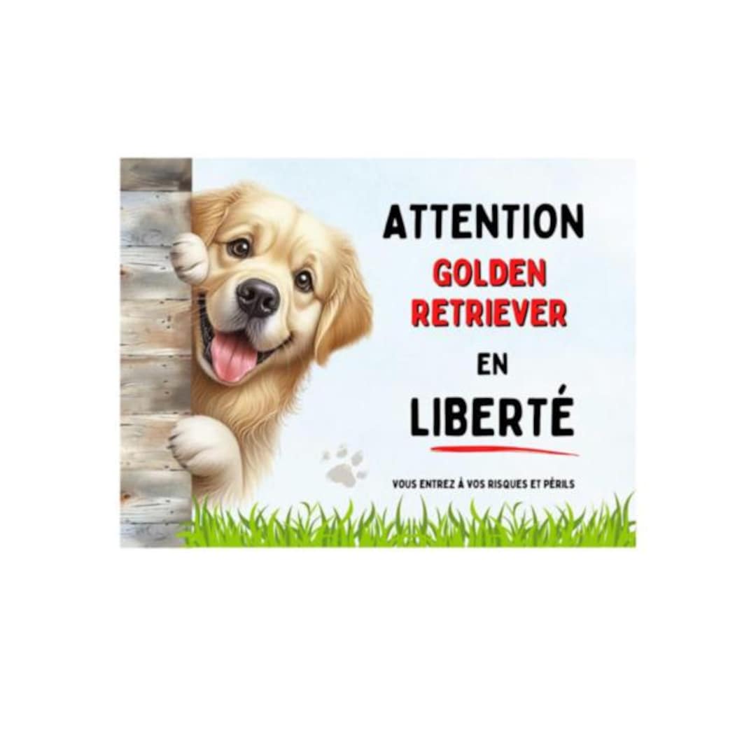 Cartello Metallo 'Attenti Al Cane' Golden Retriever - 15x20 Cm - Foto 6