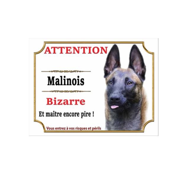 Plaque humour Attention Chien bizarre - panneau border collie bizarre Plaque humour Attention Chien bizarre - panneau border collie bizarre