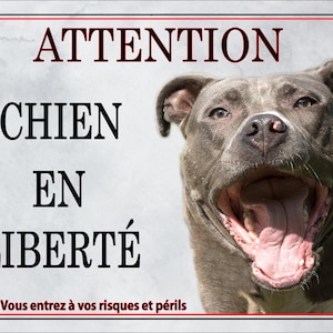 Plaque Attention au chien - Bleue - CANISLANA