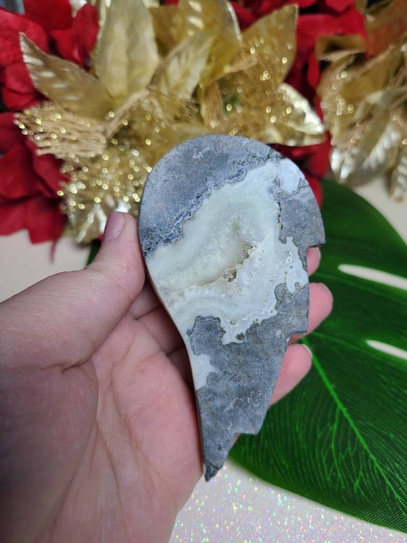 Druxy Galaxy Amethyst Wing