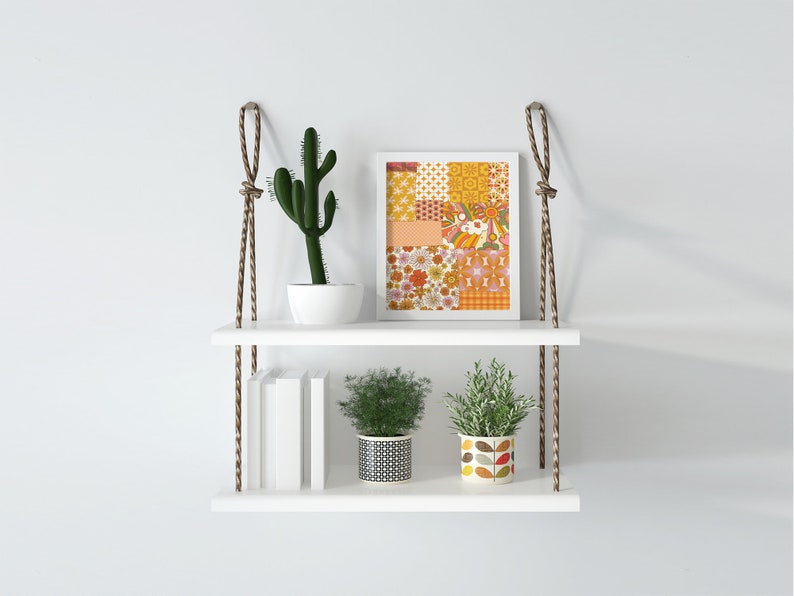 May include: A white two-tiered shelf with rope hangers, featuring a framed print of a colorful geometric pattern, a potted cactus, and two potted plants. The shelf is against a white wall.