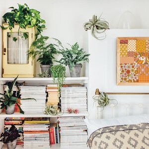 May include: A white bookshelf with a yellow cabinet on top, filled with books and magazines. There are several green plants on the shelves, including a fern, a snake plant, and a string of pearls. A white bed with a gray and white blanket is in the background. A framed print with a patchwork design in shades of orange, yellow, and brown hangs on the wall.