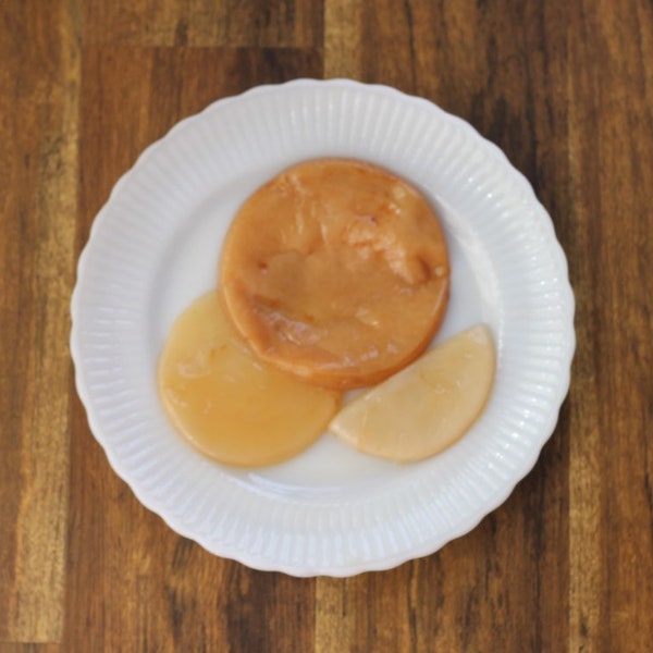 Kombucha SCOBY Live Organic Culture with Starter Tea *Probiotic drink