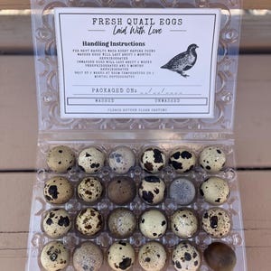 INSTANT DOWNLOAD - Quail Egg Package Labels Printable Digital Download