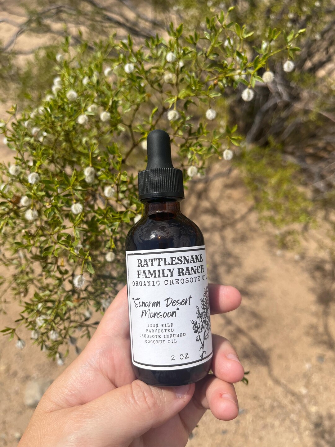 Creosote Infused Organic Coconut Oil, Arizona Desert Scent (2 Oz) - Etsy