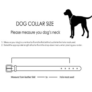 Thunderbird & Turquoise Dog Collar Personalized Dog Collar Customized Hardware Finish T-Bird Southwest Design image 6