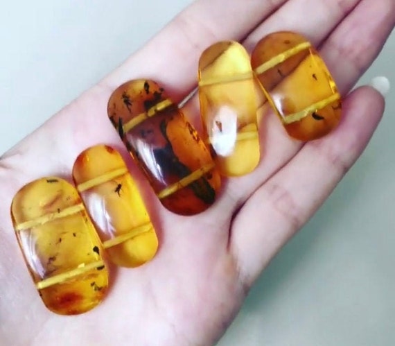 Genuine Baltic honey amber succinite set of five large flat Unique insects each bead transparent beads with includes \u771f\u6b63\u7684\u6ce2\u7f57\u7684\u6d77\u7425\u73c0\u4e0e\u6606\u866b