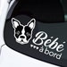 see more listings in the Stickers section