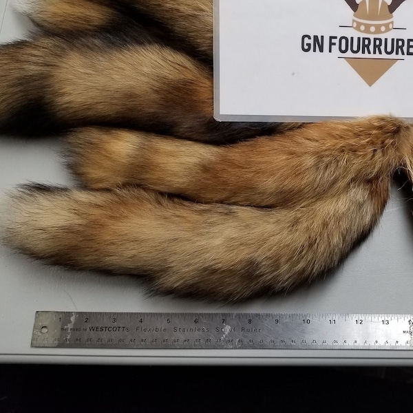 Red fox tails