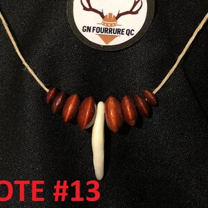 Necklace, Coyote or Fox Teeth