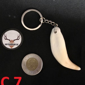 May include: A white tooth keychain with a silver key ring and chain. The tooth is attached to the chain with a silver loop. The keychain is on a black background. PC 7.