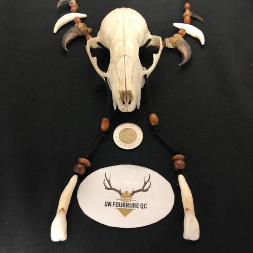 Necklace, Skull / Skull Necklace