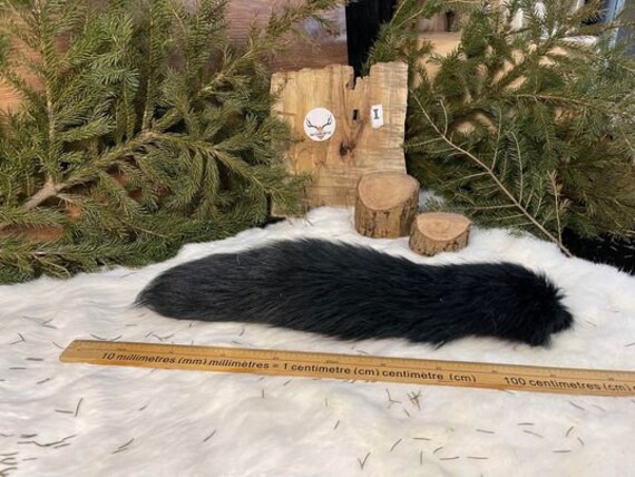 Real Genuine Fox Tail / Authentic Fox Tail - Etsy