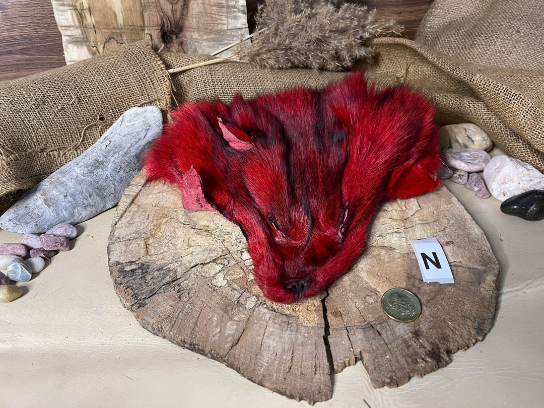 Colored Fur Head Colored Fur Head Etsy colored-fur-head-colored-fur-head-etsy