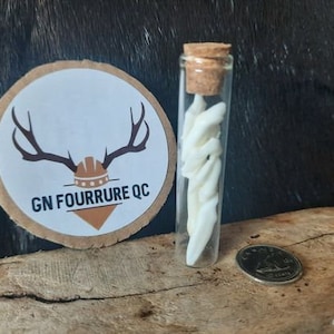 May include: A glass vial filled with white animal teeth, with a cork stopper and a brown label that reads "GN FOURRURE QC".