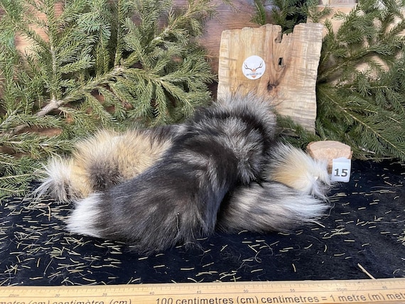Real Genuine Fox Tail / Authentic Fox Tail - Etsy