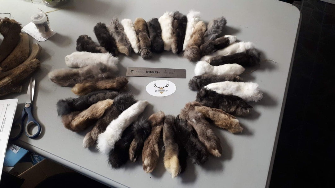 Rabbit Foot / Lucky Rabbit Foot - Etsy Canada