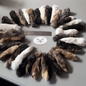 May include: A collection of approximately 30 rabbit feet, arranged in a circle on a grey surface. The feet are various shades of brown, grey, and white.