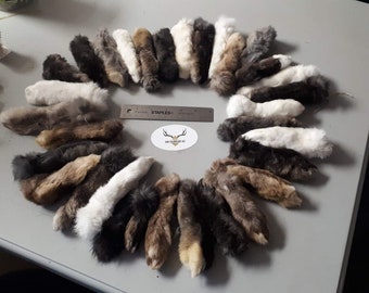 Rabbit Foot / Lucky Rabbit Foot