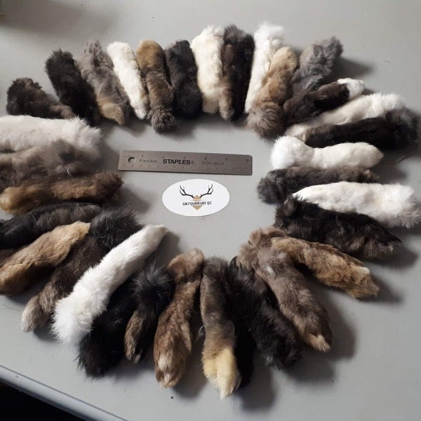 Rabbit Foot / Lucky Rabbit Foot