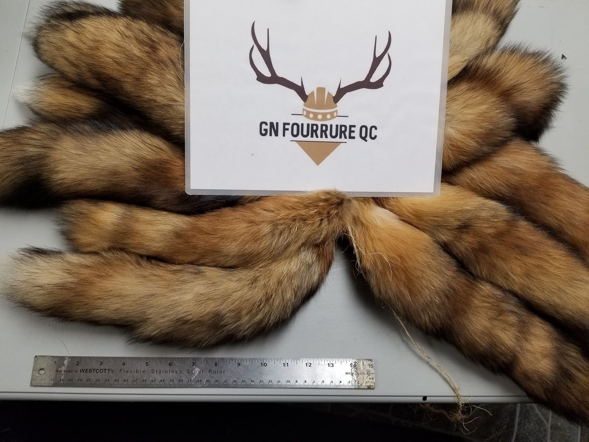 Red fox tails