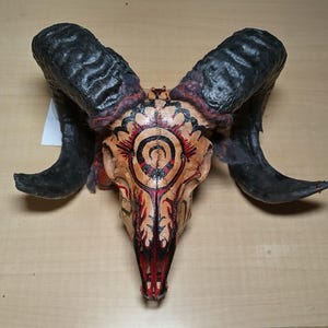 2 Horn Jacob Sheep Ram