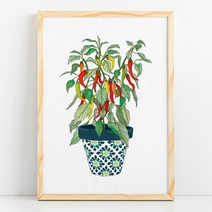 Chilli Potted Plant - Art Print / Wall Art / Poster /A5/A4/A3/A2/A1