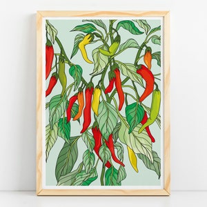 Chilli plant - Art Print / Wall Art / Poster /A5/A4/A3/A2/A1