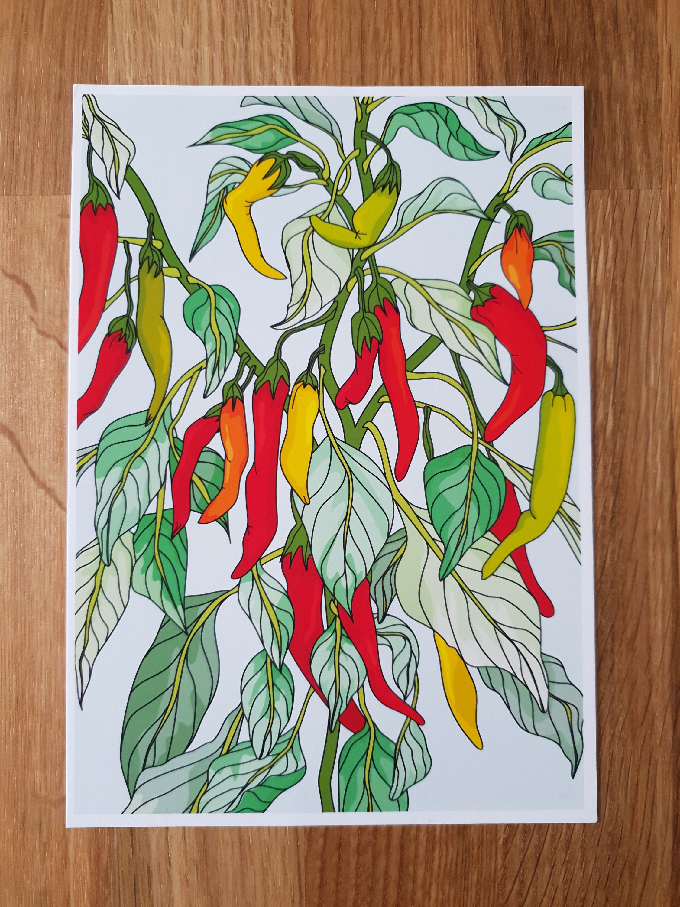 Chilli plant Giclee Art Print / Illustration / Wall Art / Etsy