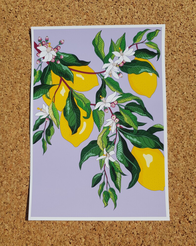 Lemons With Blossom Flowers Giclee Art Print / Illustration Etsy