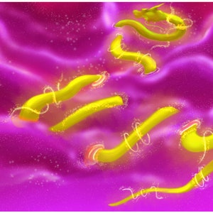 Dragon Digital Art Instant Download Pink and Yellow