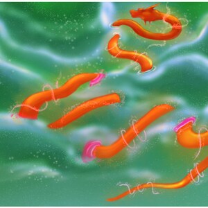 Dragon Digital Art Print Download Orange Green