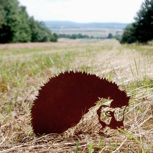 Hedgehog - metal silhouette. Rusty metal garden decor. Metal garden art. Small decoration for garden. Custom. Handmade decor. Garden space