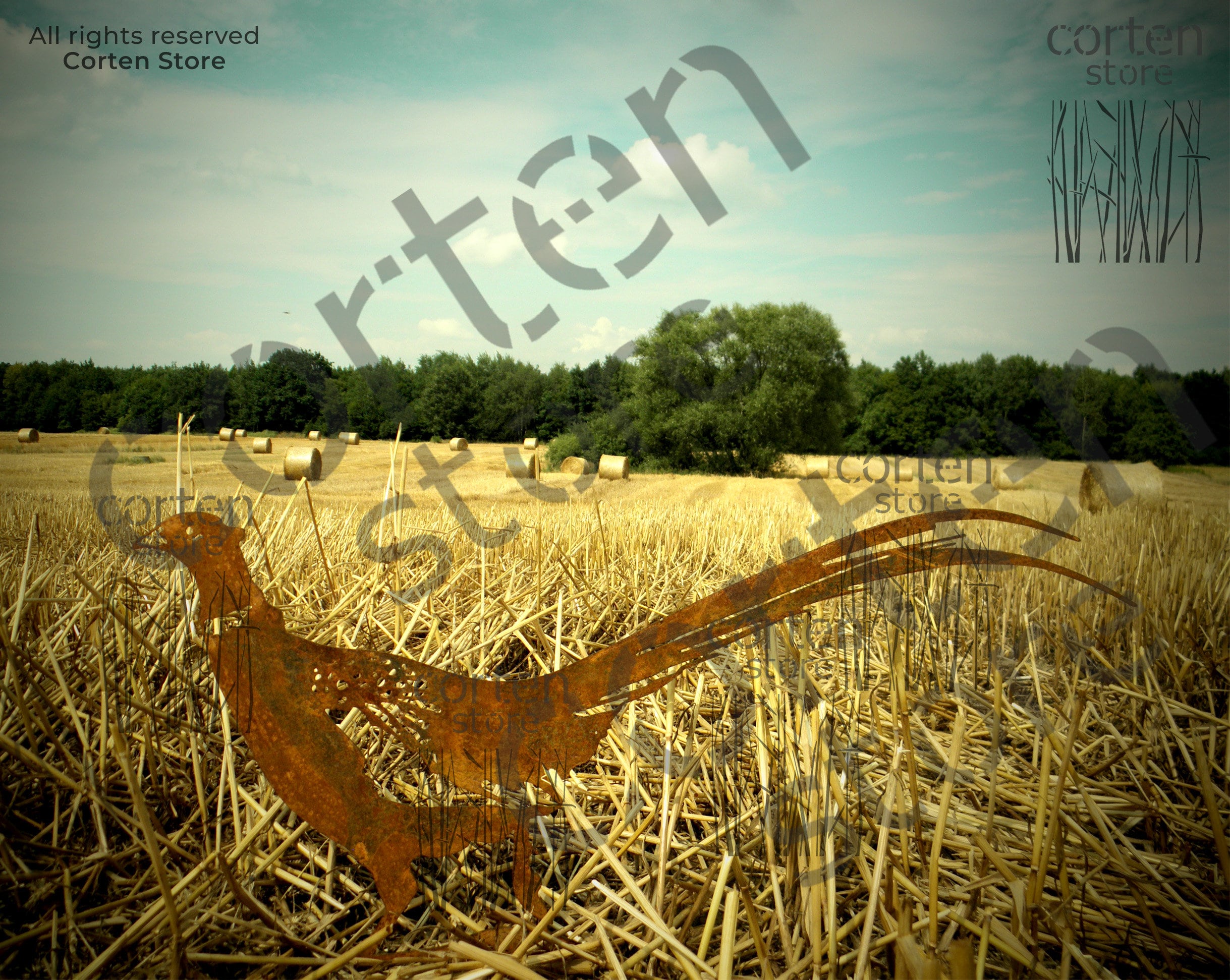 ROBAUN Picchio Arrugginito Decorazione Uccello Metallo Uccello - Foto 10