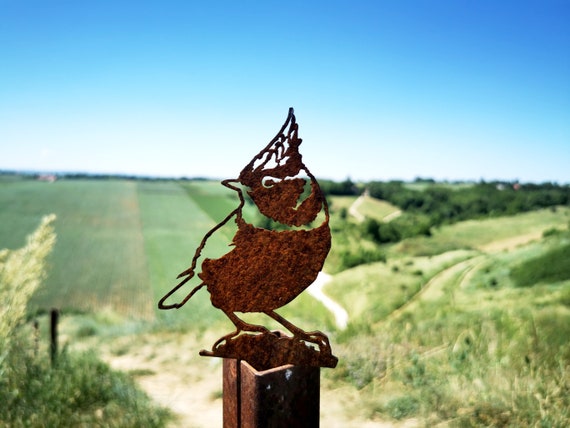 Rusty Metal Bird. Garden Metal Art. Decoration Corten Steel. Bird  Silhouette. Corten Bird. Metal Bird Gift. Garden Lovers -  UK