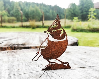 Tuindecoratie Rusty Bird, Hek Topper Tuin, Tuinkunst, Metalen Vogel, Decor voor tuin, Corten Vogels, Tuinliefhebbers Cadeau, Outdoor Decor