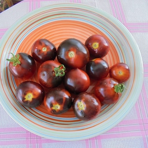 BLUEBERRY Tomato Seeds, Indeterminate Heirloom Cherry Indigo Blue Red Tomatoes, Rare Seeds, 15 Seeds